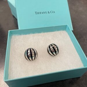 Rare Tiffany & Co. Dome Clip-ons in Silver and Enamel